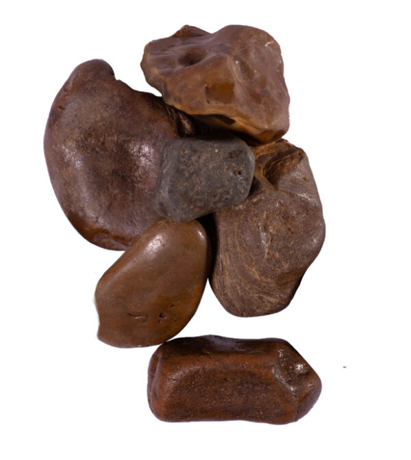 Seixo Rio Chocolate
